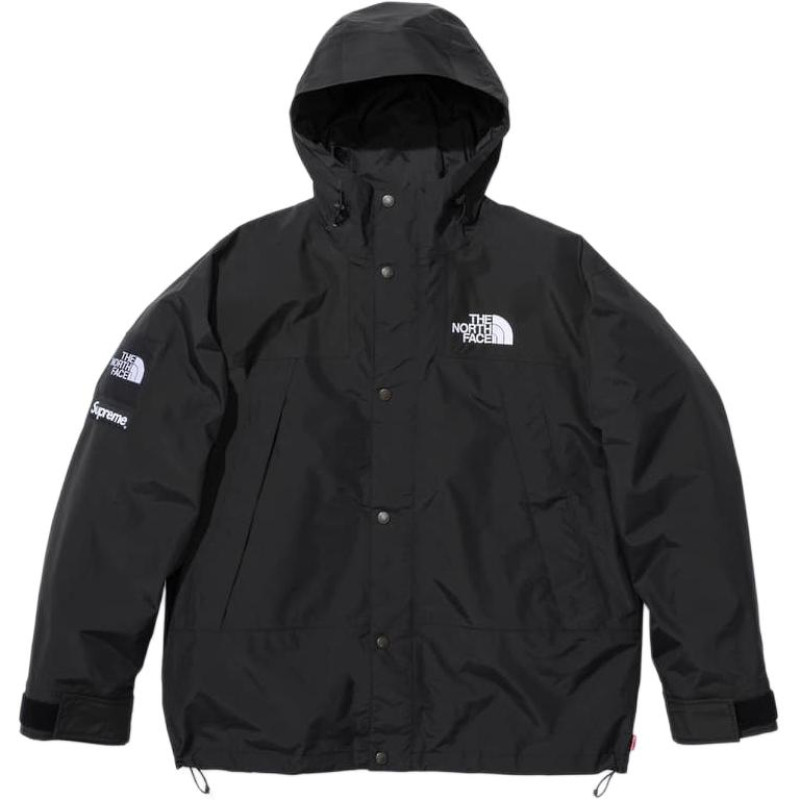 Supreme x THE NORTH FACE FW24 WEEK9 logo