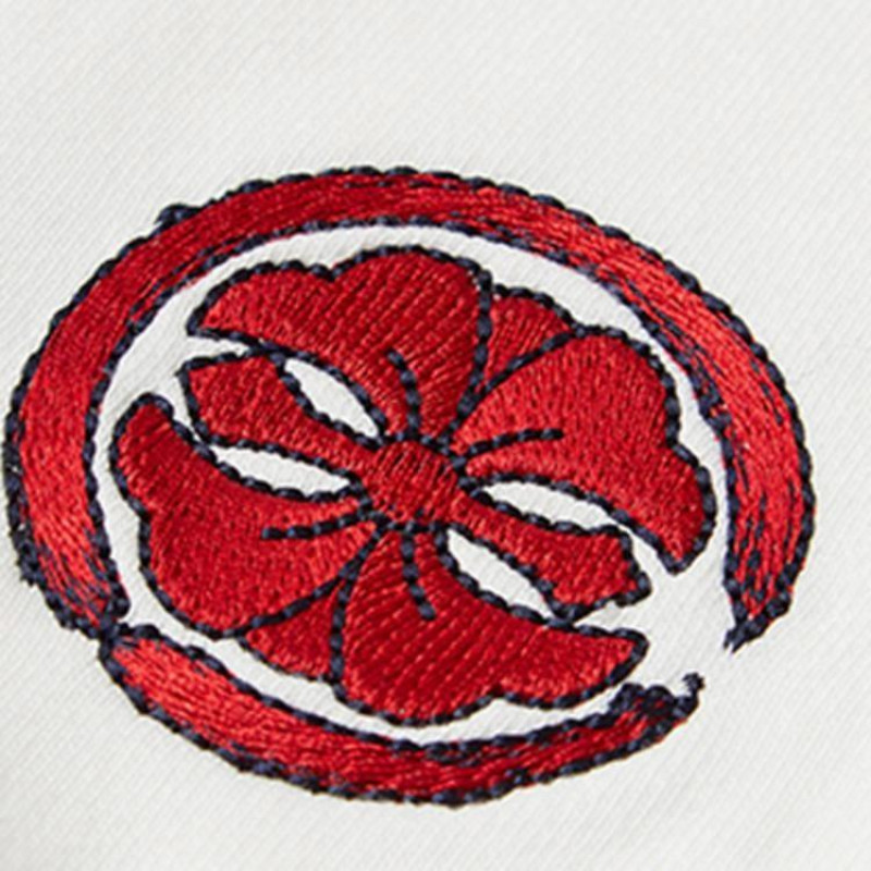 EVISU