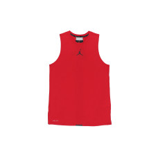 Jordan Air Logo