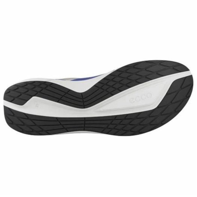 ecco Biom 2.2
