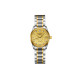 LONGINES 30 29mm L2.257.5.38.7