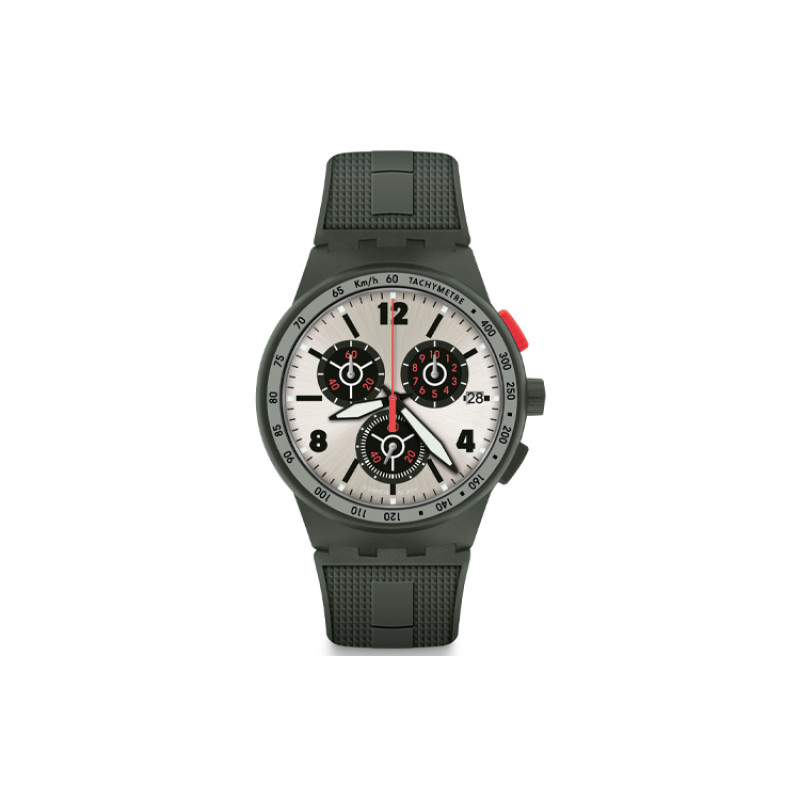 SWATCHoriginals 42mm SUSG405