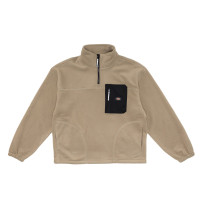 Dickies DK0A868OCH1
