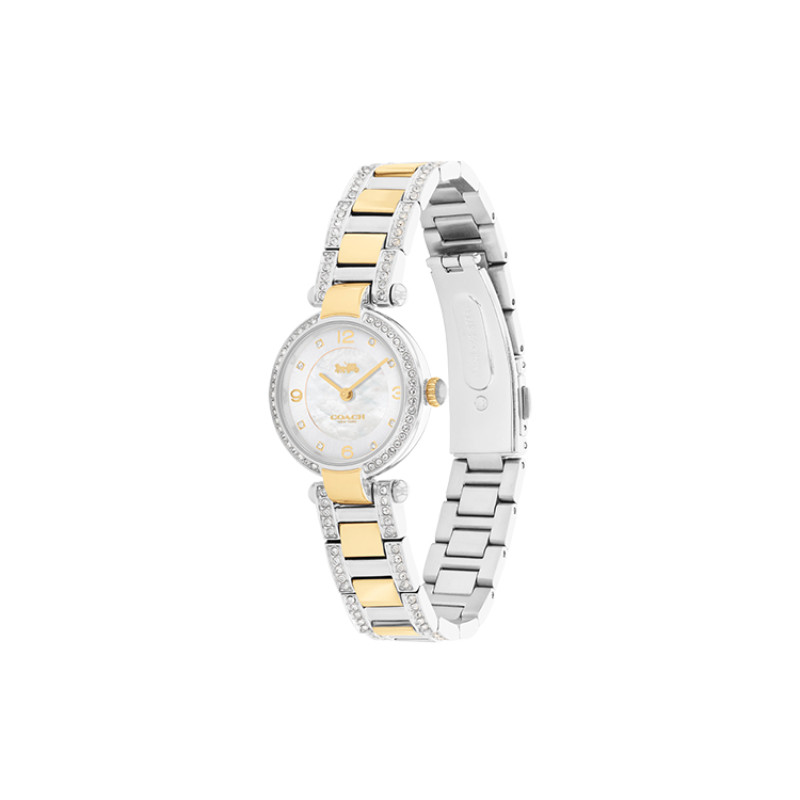 COACHCary 28mm 14503840