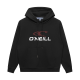 O'Neill Logo