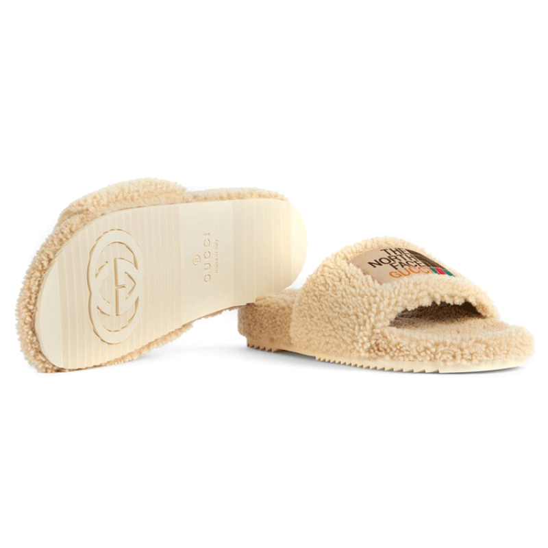 THE NORTH FACE x GUCCI