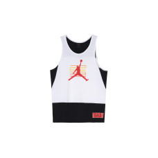 Jordan LEGACY AJ11