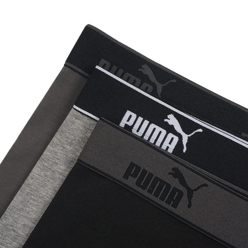 PUMA 3