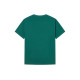 FAIRWHALE T