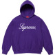 Supreme FW24 WEEK1 Embroidered Script Hooded Sweatshirt logo