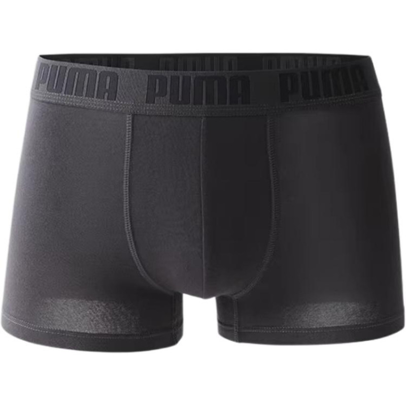PUMA 3
