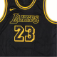 Nike NBA 23 GS