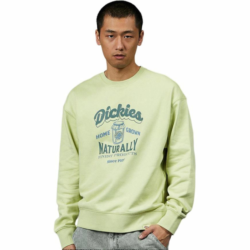DIckies 24