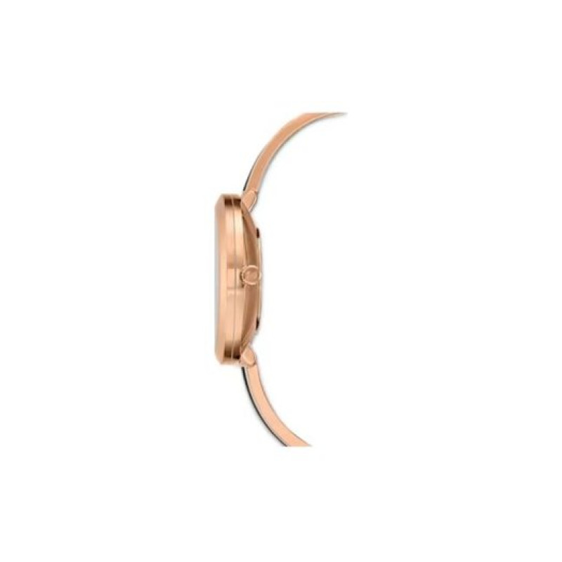 SwarovskiCrystalline Delight Swarovski 5580530