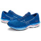 Mizuno Wave Rider 26