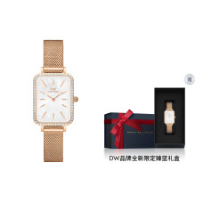 Daniel Wellington 20 30 DW00100674