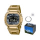 CASIO DW-5600CA-8