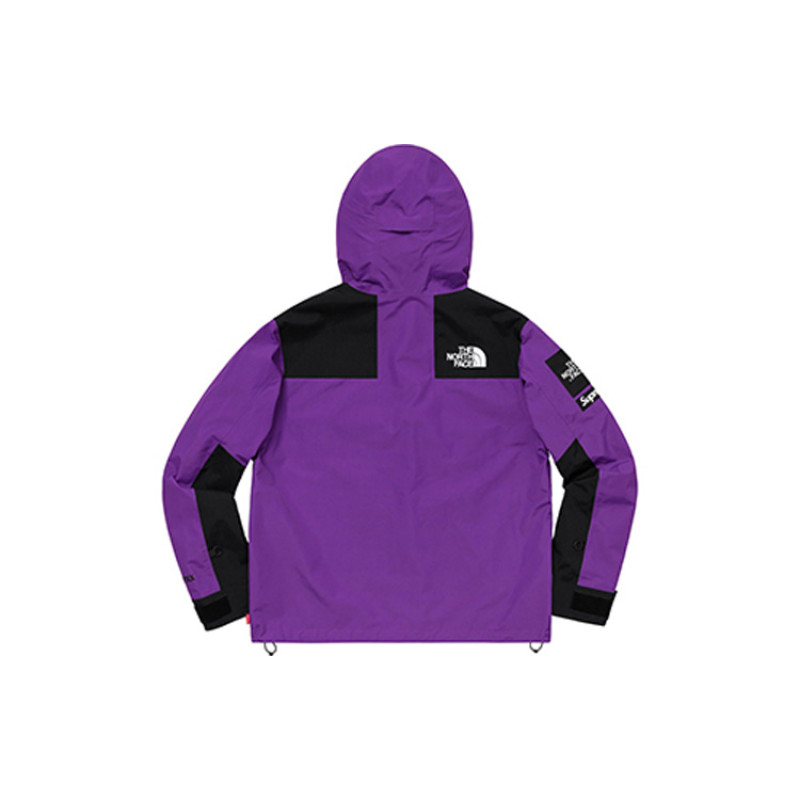 Supreme x THE NORTH FACE SS19