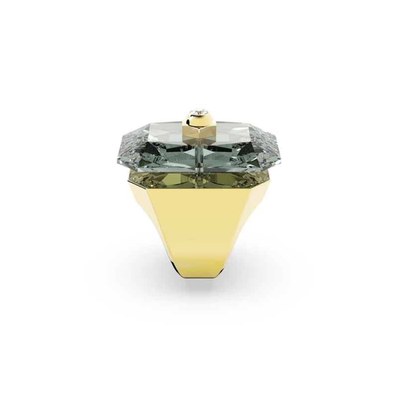 Swarovski Numina