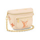 LOUIS VUITTON Bumbag Logo