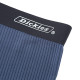 Dickies LOGO 3