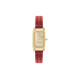 COACHCADIE 28mm 30 14504025