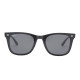 RayBan