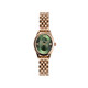 Daniel Wellington DW DW OPHELIA 25.5x22mm