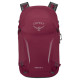 OSPREY Hikelite 26L