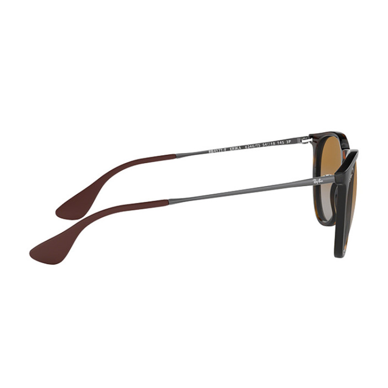 RayBan
