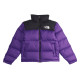 THE NORTH FACE 1996 Men's 1996 Retro Nuptse Jacket Hero Purple 700