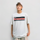 Champion T