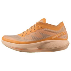 SALOMON Phantasm
