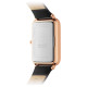 Daniel Wellington 29*36.5mm 30m