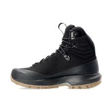 Arcteryx Aerios Ar Mid Gtx W