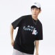 FAIRWHALE T