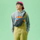 Dickies Logo