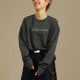 Dickies Logo