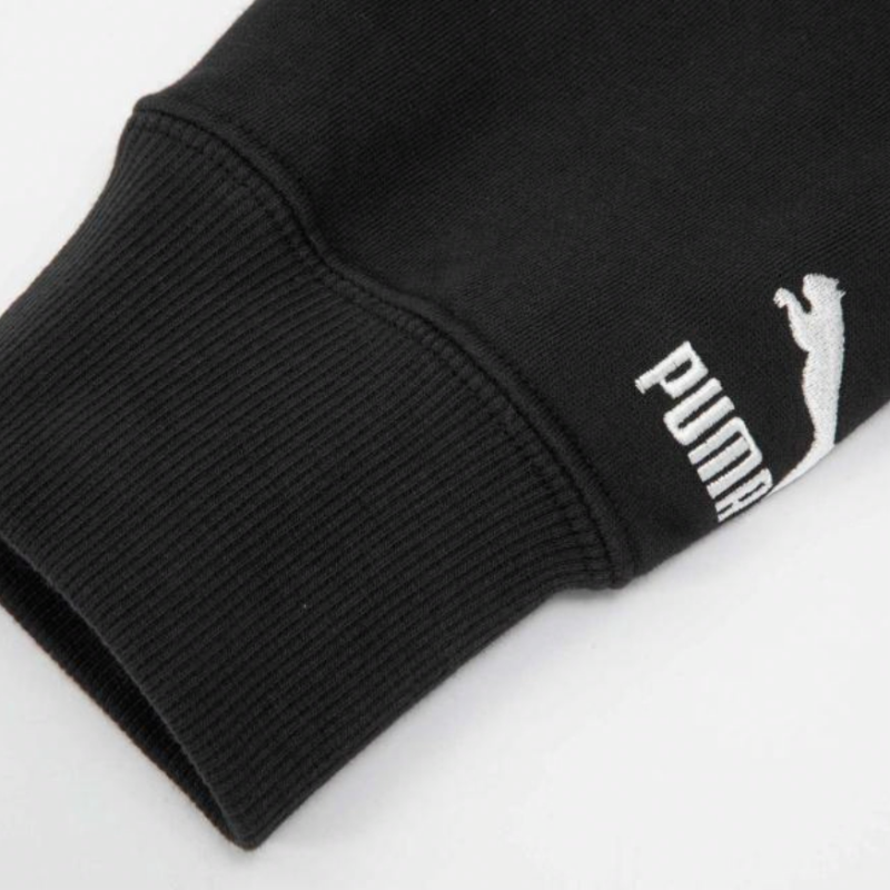 PUMA CLASSICS FTP HOODIE TR