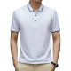 PIERRE CARDIN Polo