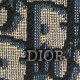 DIOR OBLIQUE