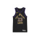 Nike LeBron James Los Angeles Lakers 202324 23