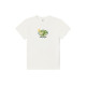 Vans T