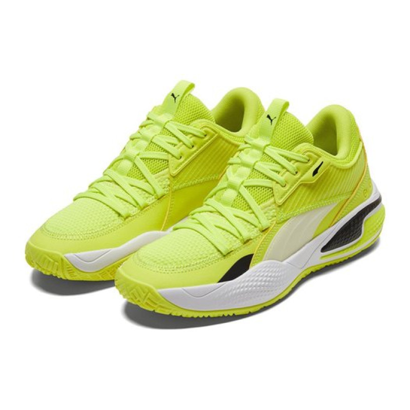 PUMA TPU