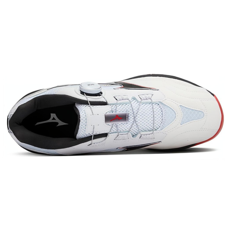 Mizuno