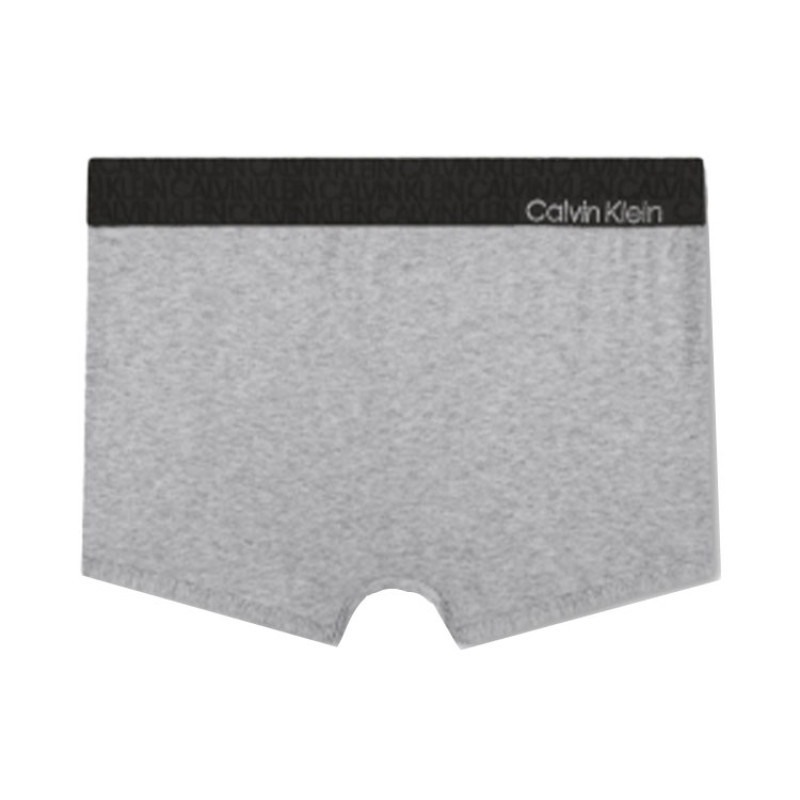CKCalvin Klein Logo 1