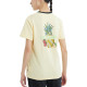 Converse T