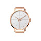 CKCalvin Klein CK 42mm K7B21626