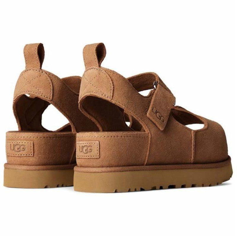 UGG Goldenstar Hi