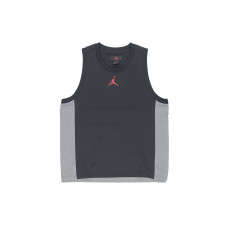 Jordan Dri-FIT Air Statement